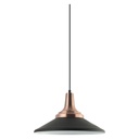 Royal Homes Pendant Light