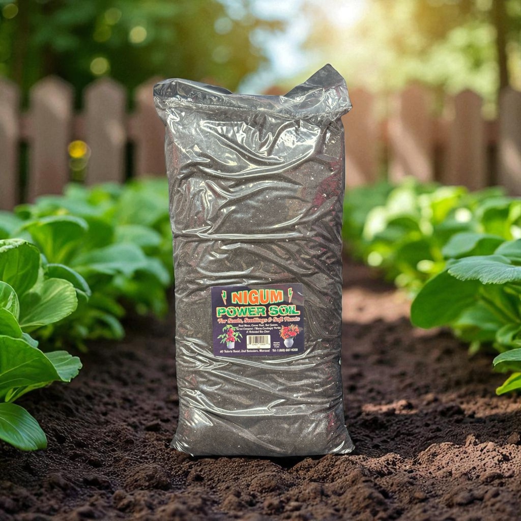 Nigum Power soil - 6Lbs