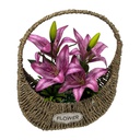 Classy Homes Artificial Plant, 37x27cm