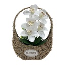 Classy Homes Artificial Plant, 37x27cm