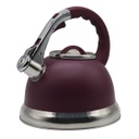 Kaisa Villa Tea Kettle 3.5 Stainless Steel