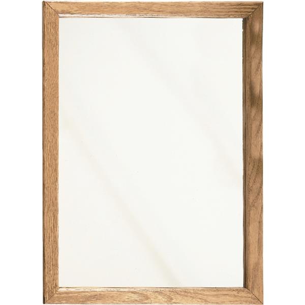 Zenith Single Mirror Surface/Recess Mount Framed Medicine Cabinet 16.13 In W x 21.75 In H x 4.5 In D, Oak