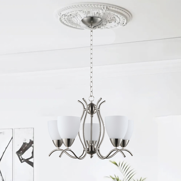 Royal Homes Hanging Light