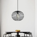 Royal Homes Pendant Light