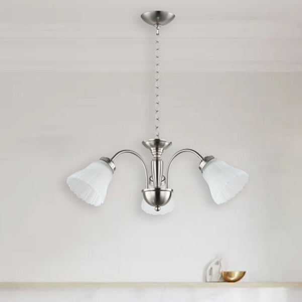 Royal Homes Hanging Light