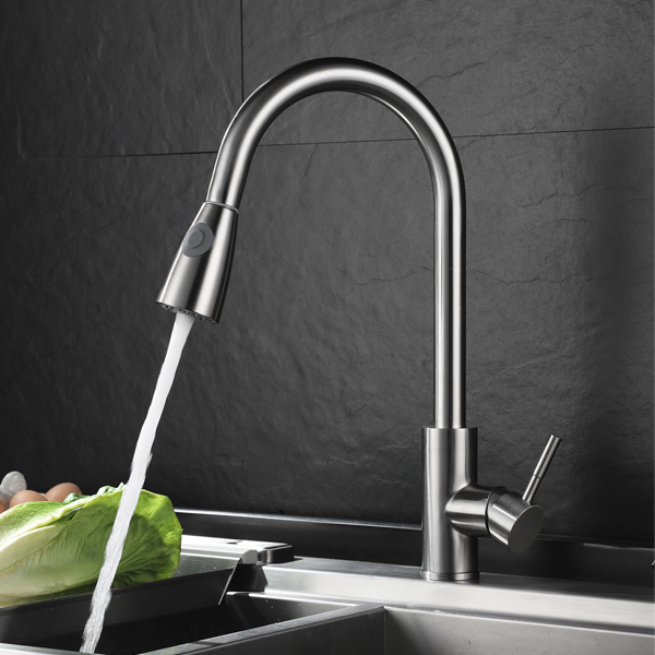 Royal Homes Kitchen Faucet