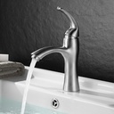 Royal Homes Bathroom Faucet