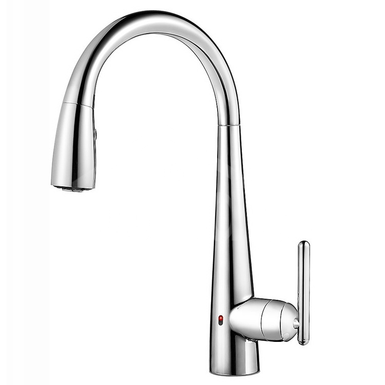 Pfister Kitchen Faucet