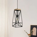 Royal Homes Pendant Light