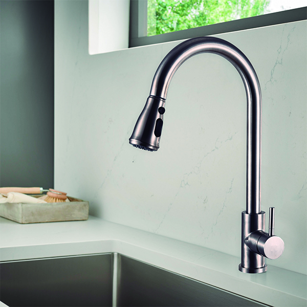 Royal Homes Kitchen Faucet