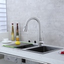 Royal Homes Kitchen Faucet with Pull-Out Sprayer