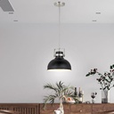 Royal Homes Pendant Light