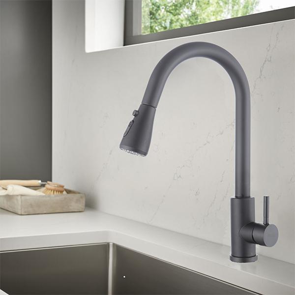 Royal Homes Kitchen Faucet