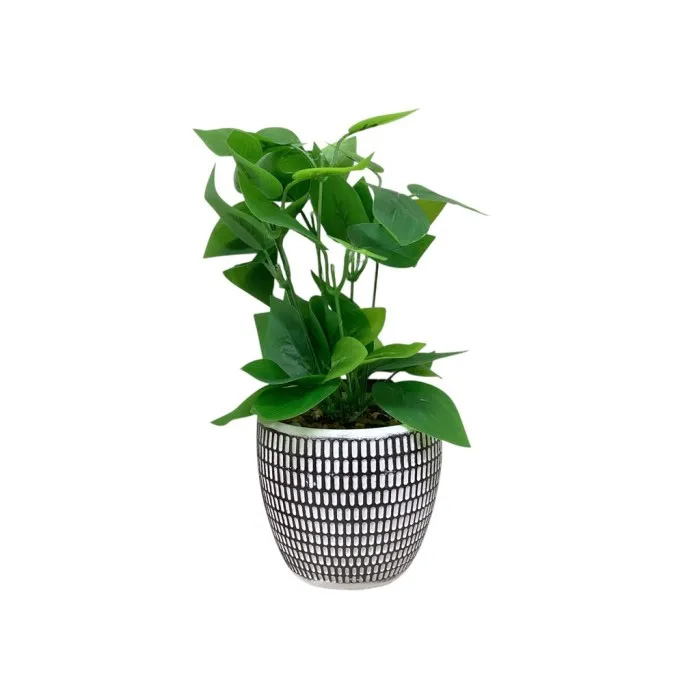 Decore Artifical Plant in Cement Pot