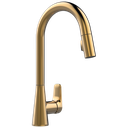 Delta IXA JIVE Single Handle Pull-Down Kitchen Faucet, Champagne Bronze