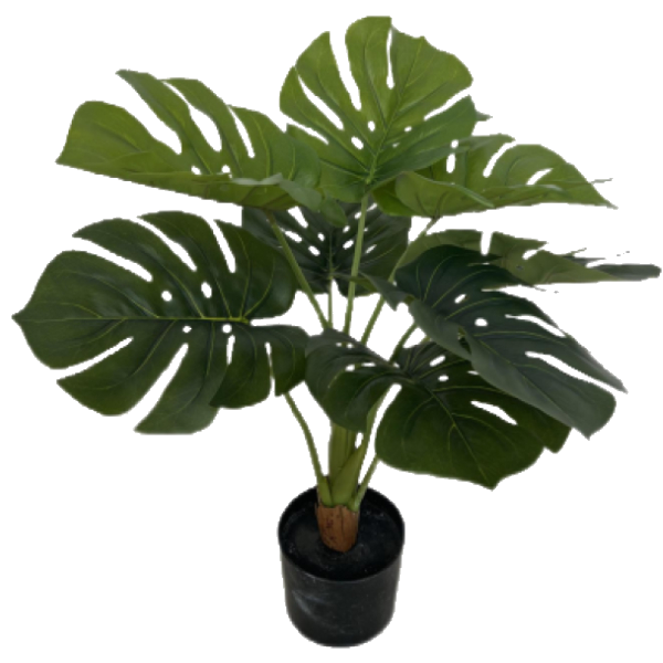 Classy Homes Potted Artificial Plant, 2Ft 1.6In. (65Cm)