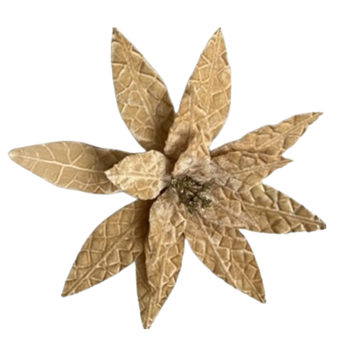 Christmas Poinsettia 30x20cm