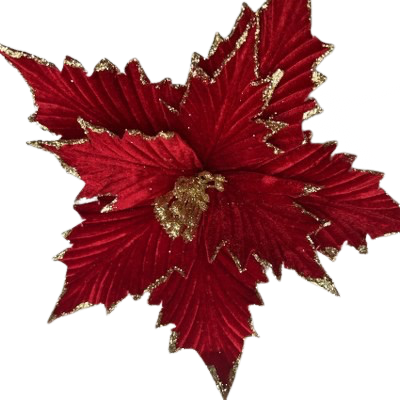 Christmas Poinsettia 22x9cm