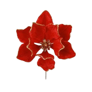 Christmas Poinsettia 30x30cm