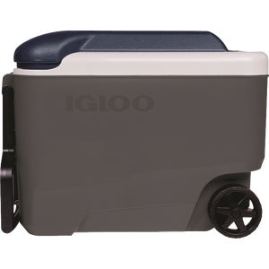 Igloo MaxCold Roller Cooler 40 Qt., Ash Gray &amp; Aegean Sea