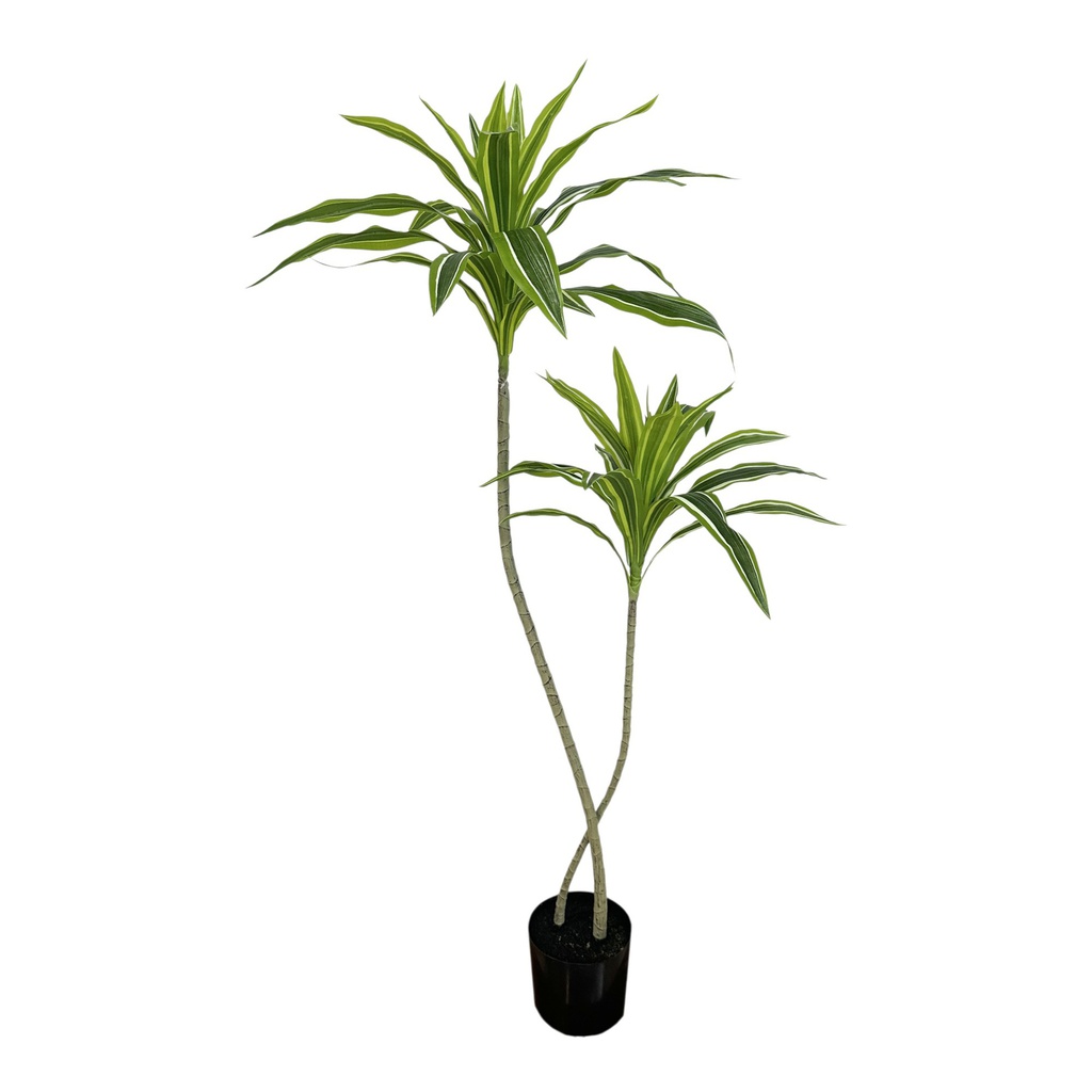 Classy Homes Artificial Plant 120Cm