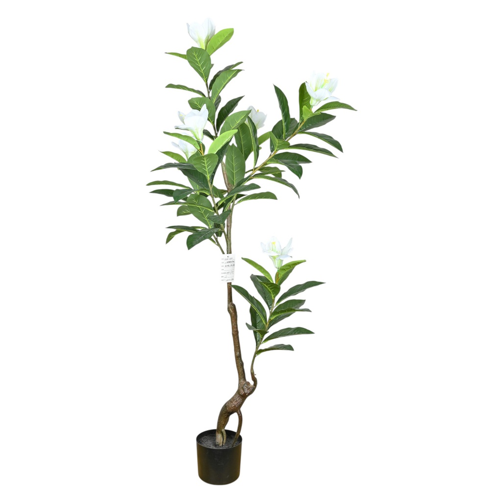 Classy Homes Artificial Plant 140Cm