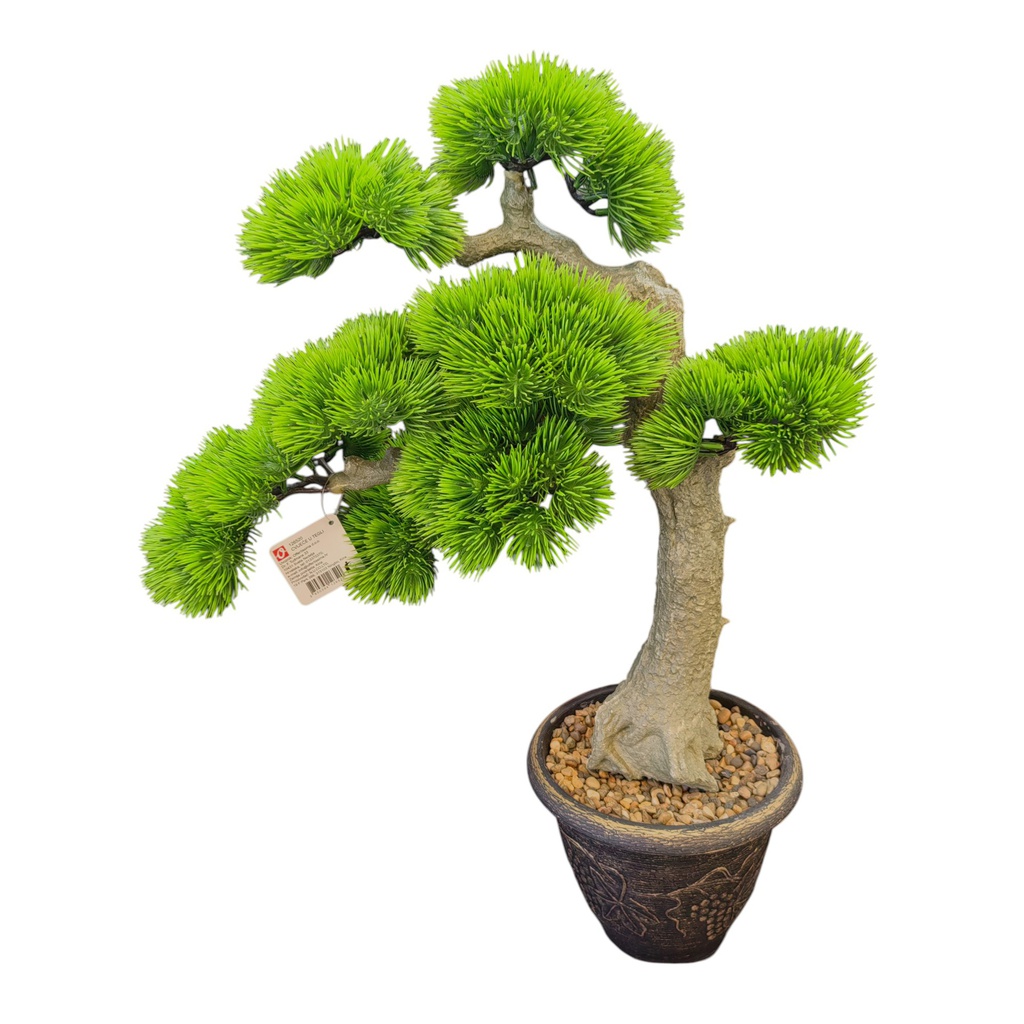 ****Classy Homes Artificial Bonsai Tree 61cm