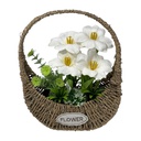Classy Homes Artificial Plant, 37x27cm