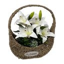 Classy Homes Artificial Plant, 37x27cm