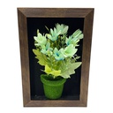 Classy Homes Artificial Plants With Frame, 20x30cm