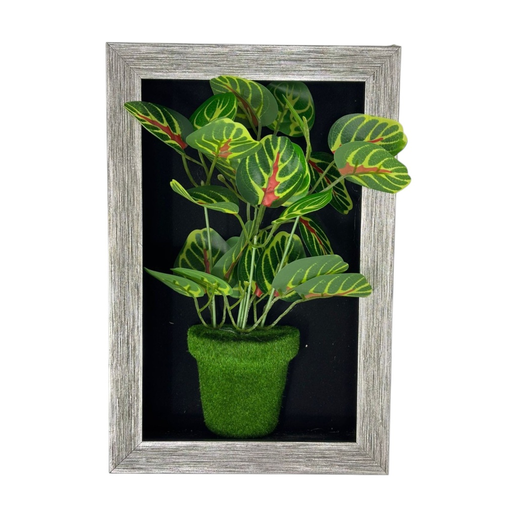Classy Homes Artificial Plants With Frame, 20x30cm