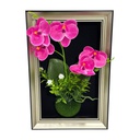Classy Homes Artificial Plants With Frame, 20x30cm