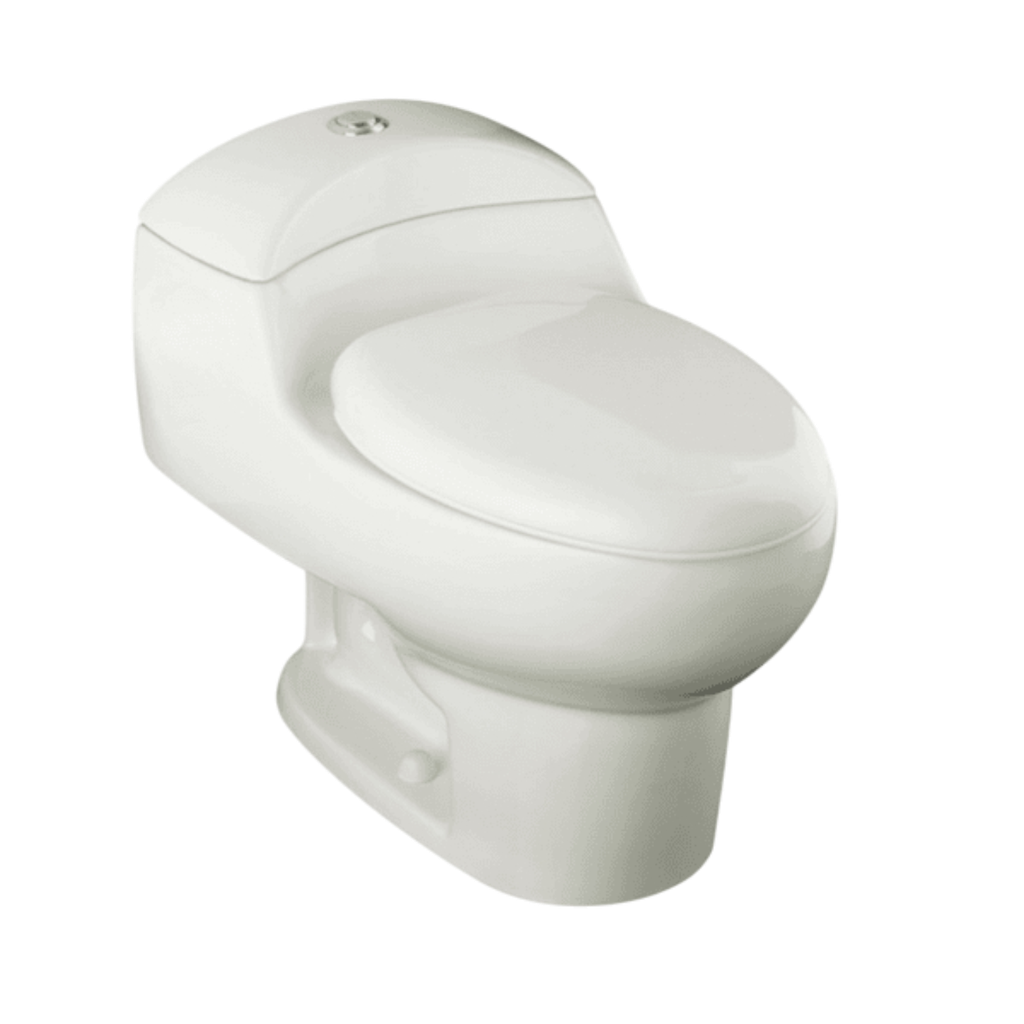 Briggs One-Piece Toilet, S-Trap Dual Flush, Slow Close Seat, White