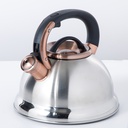 Mr. Coffee Mr Flintshire Tea Kettle 2.1 Qt., Antique Copper Plated Lid &amp; Handle / Brushed SS