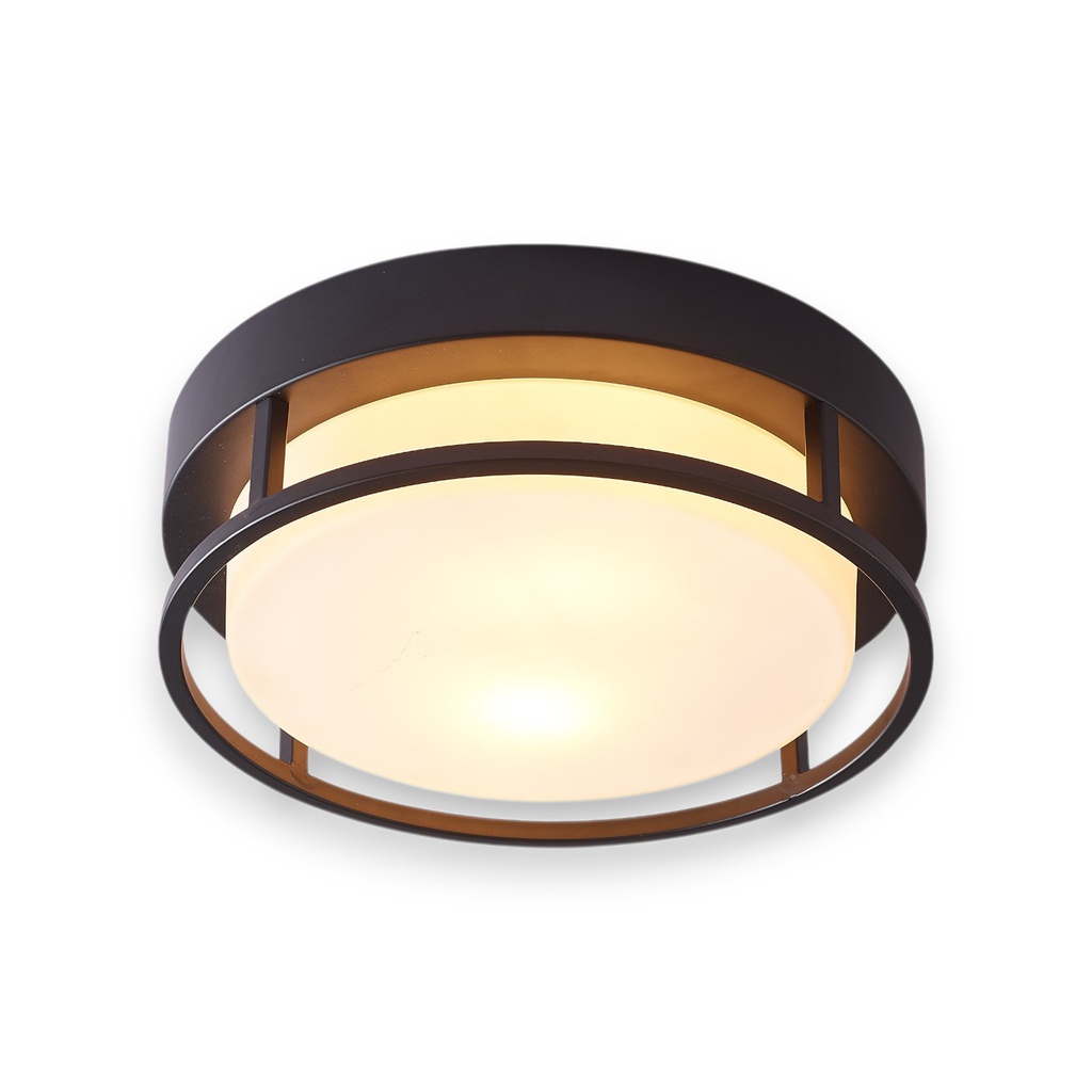 Royal Homes Flush Mount Ceiling Light,2 xE27 40W Black