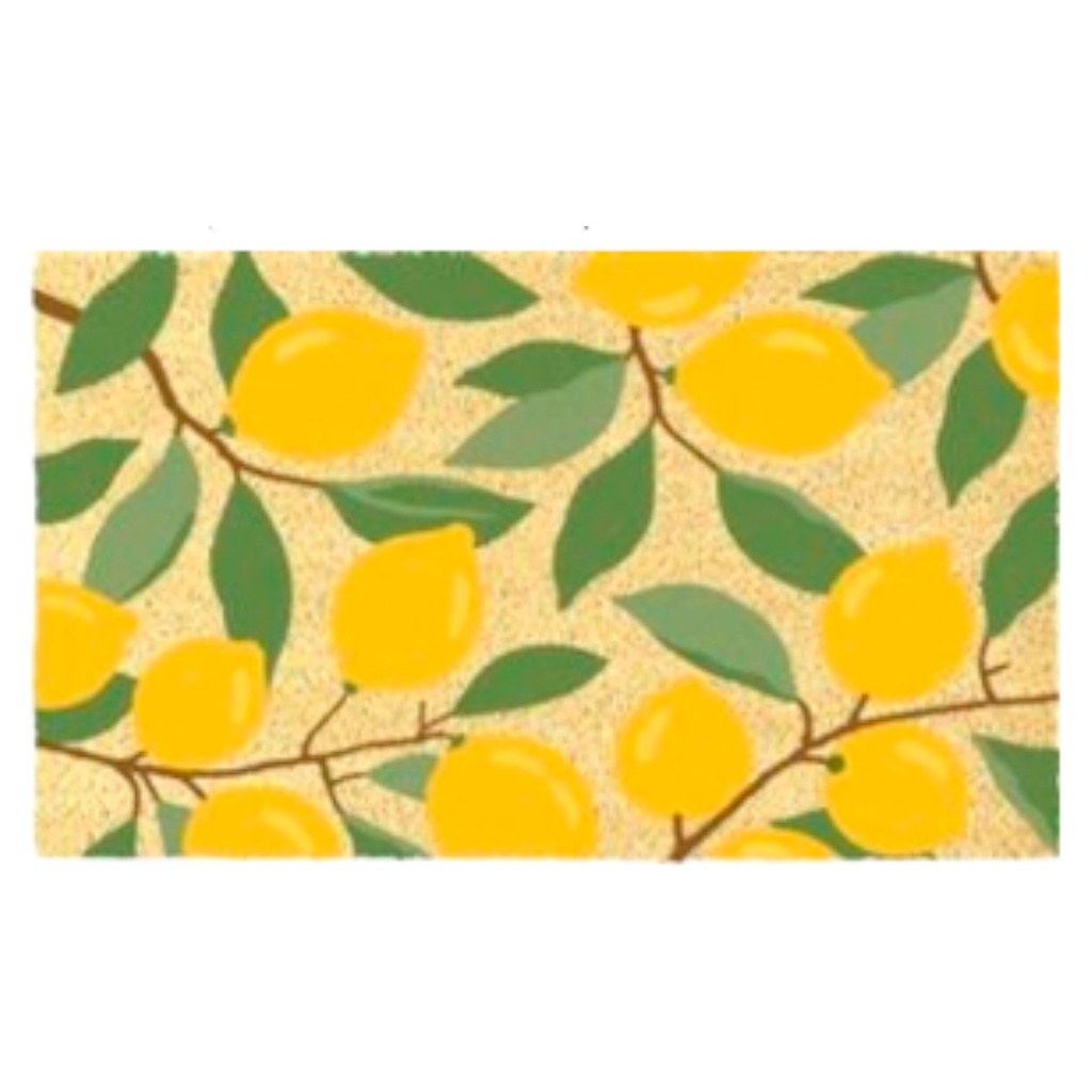 Classy Homes PVC-Backed Coir Mat with Bleached Base, 18 x 30 In., 15mm Thick