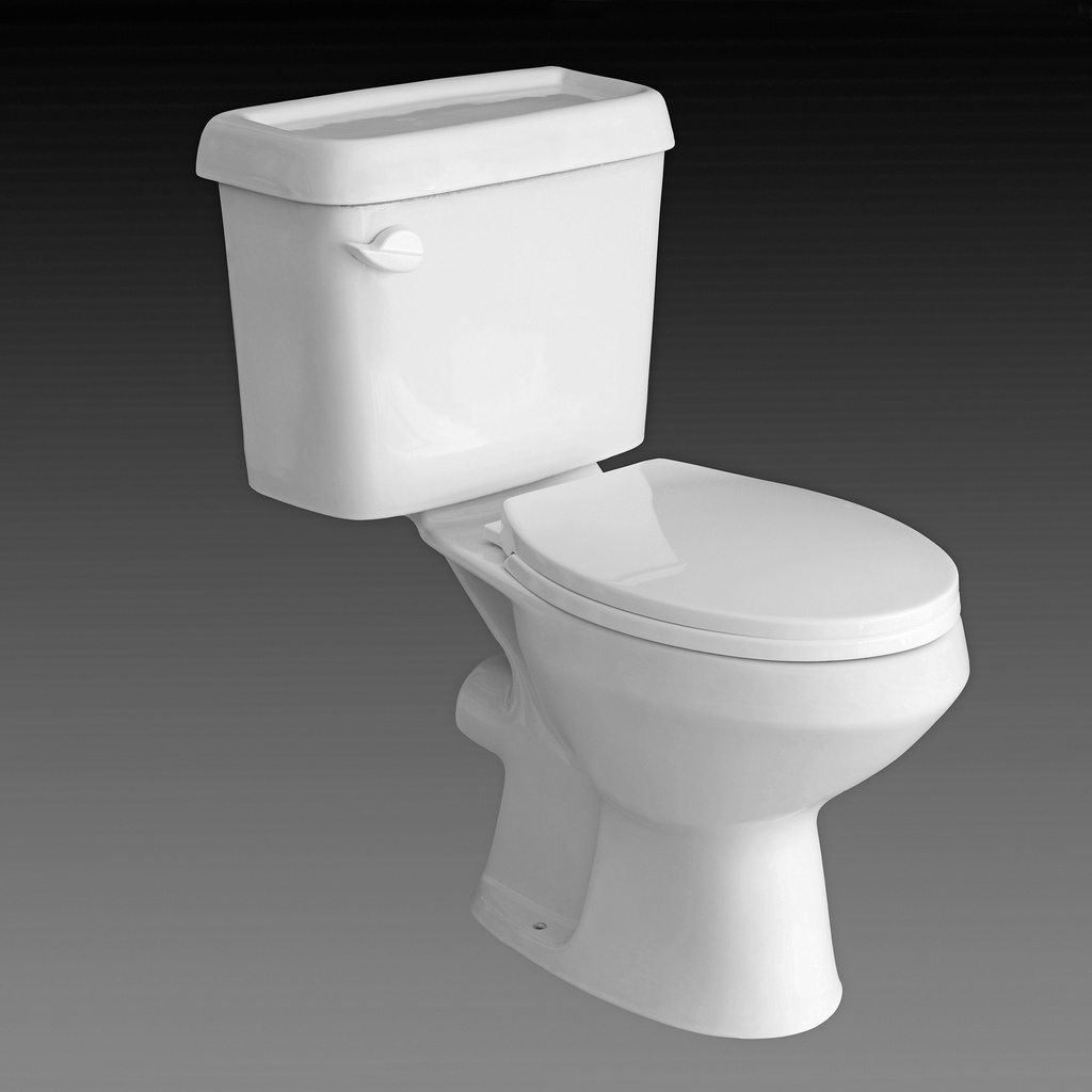 Twyford Toilet with Flush Fitting and Seat Cover, White