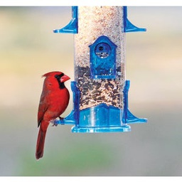 [38030] Stokes Select Bird Feeder Jumbo Tube 3.2 Lb. Capacity Plastic, Blueñ