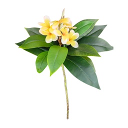 [HHGD-PLNT-01019 (CH0244P5) CHAF31814] Classy Homes Artificial Flower, 86Cm