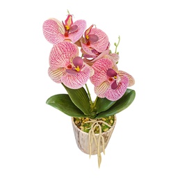 [HHGD-PLNT-01049 (CH0478P3) CHAP31844] Classy Homes Artificial Plant, 26cm