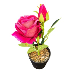 [HHGD-PLNT-01051 (CH0478P5) CHAP31846] Classy Homes Artificial Plant, 24cm