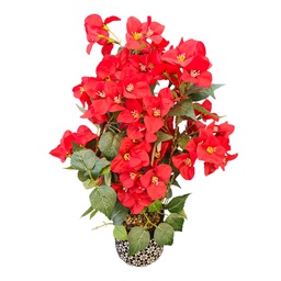 [HHGD-PLNT-01052 (CH0478P6) CHAP31847] Classy Homes Artificial Plant, 55cm