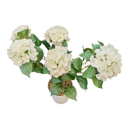 [HHGD-PLNT-01066 (CH0478P20) CHAP31861] Classy Homes Artificial Plant, 64cm