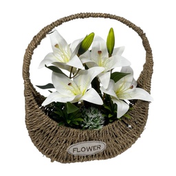 [HHGD-PLNT-01082 (CHLY-0768-12) CHAP31877] Classy Homes Artificial Plant, 37x27cm