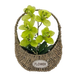 [HHGD-PLNT-01084 (CHLY-0768-14) CHAP31879] Classy Homes Artificial Plant, 37x27cm