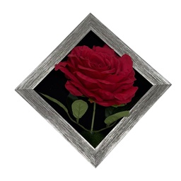 [HHGD-PLNT-01087 (CHLY-0768-26) CHAPF31882] Classy Homes Artificial Plants With Frame, 20x20cm