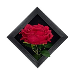 [HHGD-PLNT-01088 (CHLY-0768-27) CHAPF31883] Classy Homes Artificial Plants With Frame, 20x20cm