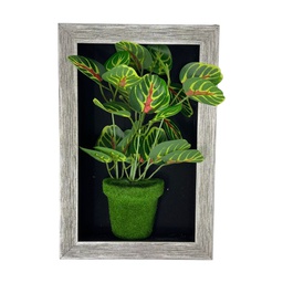 [HHGD-PLNT-01097 (CHLY-0768-54) CHAPF31892] Classy Homes Artificial Plants With Frame, 20x30cm