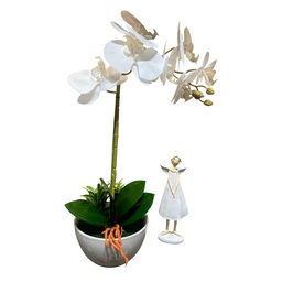 [HHGD-PLNT-01105 (CHLY-0768-38) CHAP31900] Classy Homes Artificial Plant, 46cm