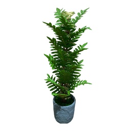 [HHGD-PLNT-01106 (CHLY-0768-39) CHAP31901] Classy Homes Artificial Plant, 62cm